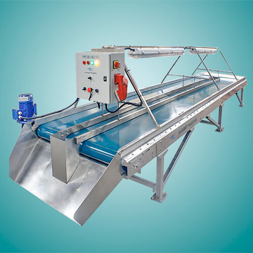 Product inspecting machine for fruit and vegetable chips